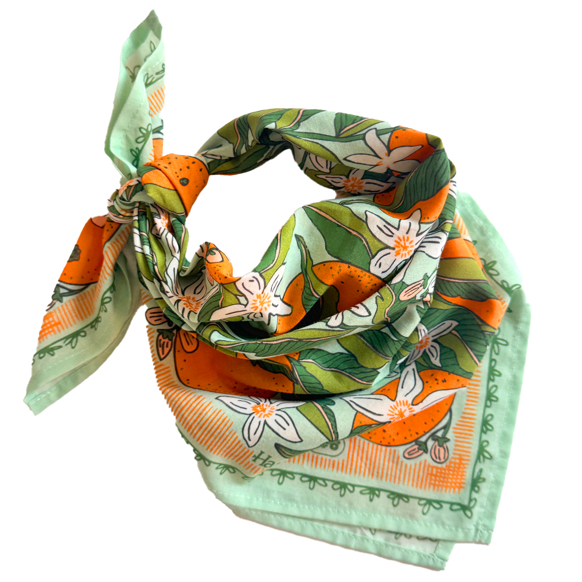 
                  
                    No. 146 Zoe Bandana
                  
                