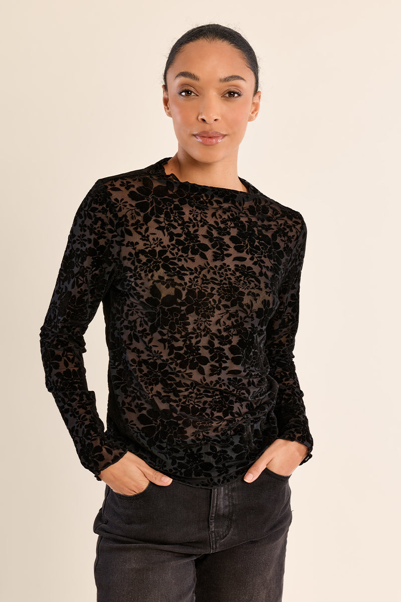 
                  
                    Molly Bracken | Velvet Burnout top | Black | 1678
                  
                