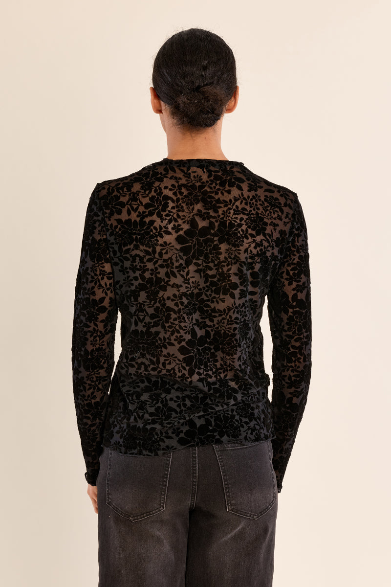 
                  
                    Molly Bracken | Velvet Burnout top | Black | 1678
                  
                